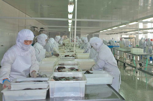 食品凈化車(chē)間的設(shè)計(jì)方案要求